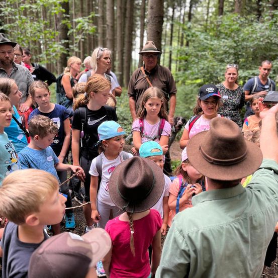 Bild enthält, Vegetation, People, Person, Land, Tree, Woodland, Adult, Male, Man, Child