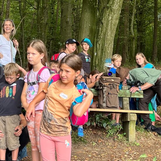 Bild enthält, Vegetation, Park, Adult, Female, Person, Woman, Bag, Tree, Woodland, People