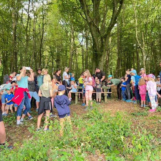 Bild enthält, Grove, Land, Nature, Outdoors, Tree, Vegetation, Woodland, Grass, Park, People