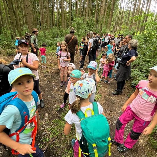 Bild enthält, Bag, Vegetation, Child, Female, Girl, Person, Backpack, Backpacking, People, Boy