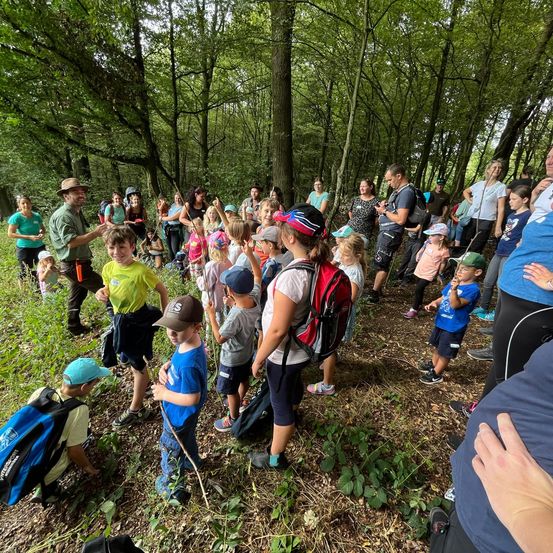 Bild enthält, Bag, Vegetation, Person, Boy, Child, Male, Tree, Backpack, Woodland, Backpacking