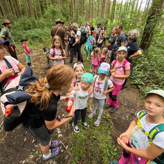 Bild enthält, Vegetation, Land, Nature, Tree, Woodland, Hiking, Grove, Path, Park, Bag