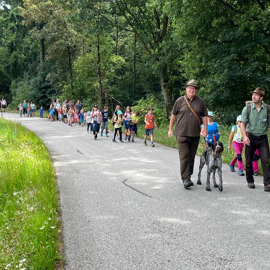 Bild enthält, Person, Walking, Vegetation, Adult, Male, Man, Park, People, Woodland, Dog