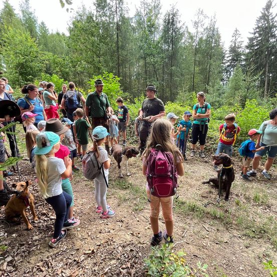 Bild enthält, Hiking, Nature, Vegetation, Grove, Tree, Woodland, Walking, Park, Bag, Path