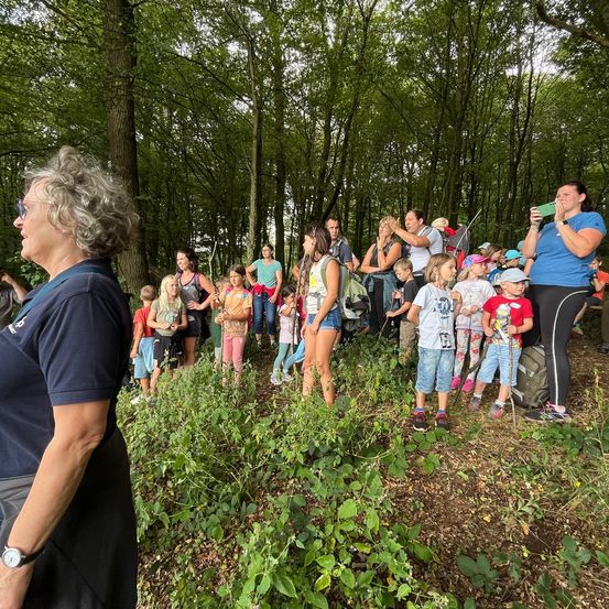 Bild enthält, Grove, Land, Tree, Vegetation, Woodland, Grass, Park, People, Person, Soil