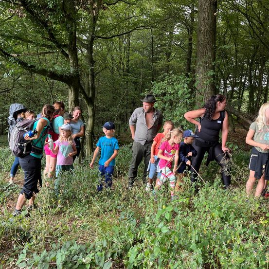 Bild enthält, Grove, Land, Tree, Vegetation, Woodland, Grass, Park, Jungle, Hiking, People