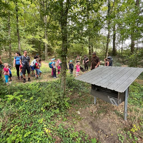 Bild enthält, Vegetation, Land, Nature, Outdoors, Tree, Woodland, People, Person, Shelter, Volleyball Game