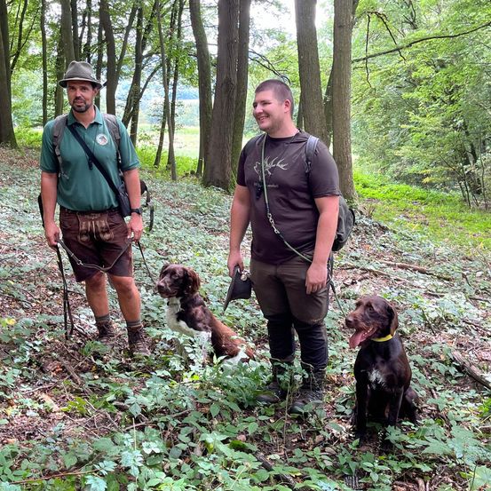 Bild enthält, Vegetation, Grove, Land, Tree, Woodland, Jungle, Hiking, Wilderness, Portrait, Rainforest