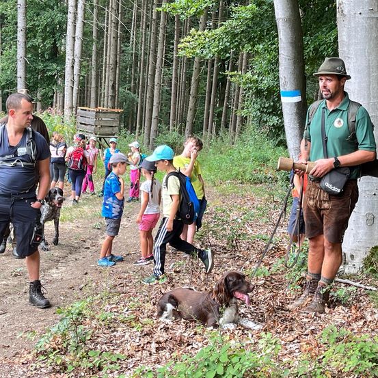 Bild enthält, Hiking, Vegetation, Shorts, Path, Walking, Trail, Tree, Woodland, Bag, Grove