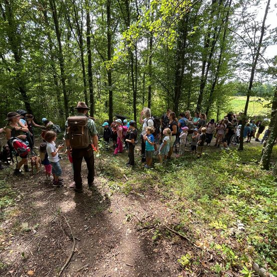 Bild enthält, Vegetation, Land, Tree, Woodland, Path, Hiking, Grove, Walking, Trail, Bag