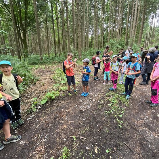 Bild enthält, Vegetation, Path, Land, Nature, Tree, Woodland, Hiking, Trail, Grove, Walking