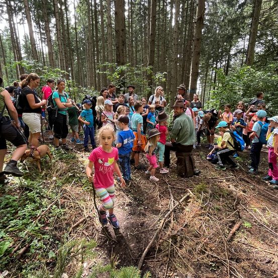 Bild enthält, Vegetation, Land, Nature, Outdoors, Tree, Woodland, Grove, Bag, Hiking, Person