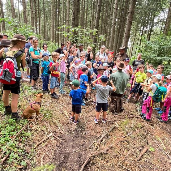 Bild enthält, Bag, Hiking, Nature, Outdoors, Person, Backpack, Vegetation, Backpacking, Boy, Child
