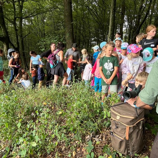 Bild enthält, Grove, Land, Outdoors, Tree, Vegetation, Woodland, Grass, Park, People, Portrait