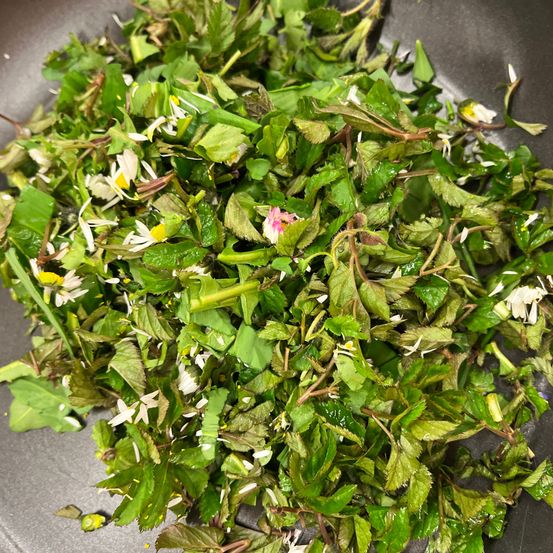 Bild enthält, Plant, Food, Food Presentation, Leafy Green Vegetable, Produce, Vegetable, Arugula, Herbs