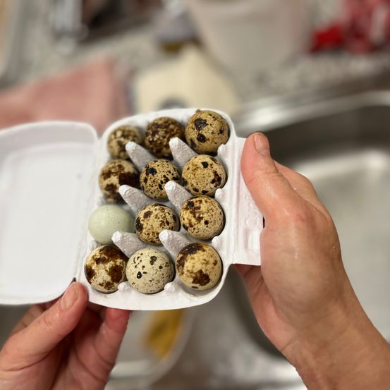 Eine Person hält ein Eierkarton mit Wachteleiern in einer Küchenumgebung, über einem Waschbecken.