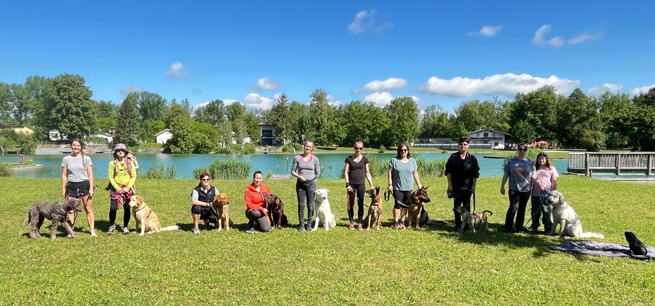 Bild enthält, Grass, Nature, Outdoors, Park, Person, Scenery, Canine, Dog, Pet, Shoe