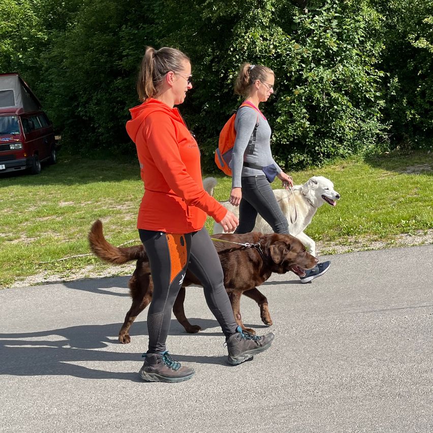 Bild enthält, Person, Walking, Shoe, Adult, Female, Woman, Canine, Dog, Car, Backpack