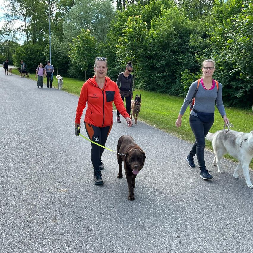 Bild enthält, Adult, Female, Person, Woman, Canine, Dog, Glove, Walking Dog, Male, Man