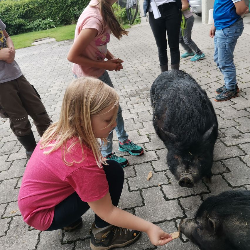 Ein junges Mädchen in einem rosa T-Shirt füttert ein schwarzes Schwein mit einem Stück Brot, während andere Kinder zusehen. Das Schwein steht auf einem Ziegelweg, an dem auch andere Menschen stehen.