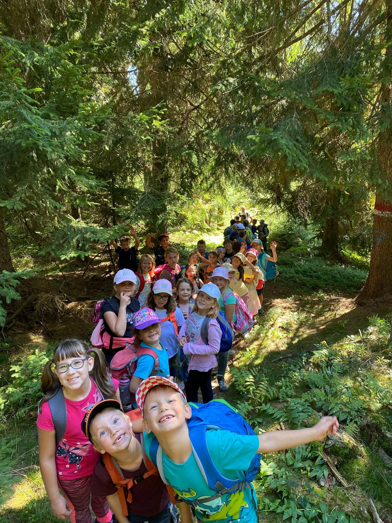Eine Gruppe von Kindern mit Rucksäcken geht in einer Reihe durch einen Wald. Sie lächeln und scheinen auf einem Schulausflug zu sein.