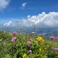 Eine Berglandschaft mit üppiger Vegetation und einer Vielzahl bunter Blumen unter einem blauen Himmel mit verstreuten Wolken.