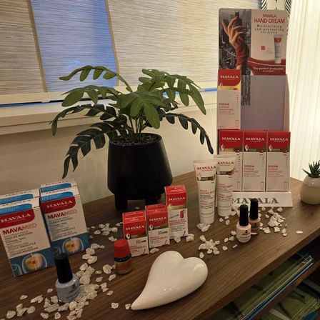 Bild enthält, Plant, Potted Plant, Furniture, Table, Person, Planter, Pottery, Vase, Window, Windowsill