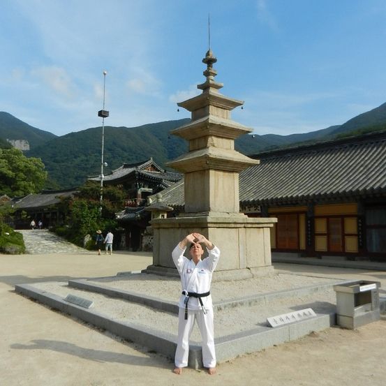 Eine Person in einem weißen Karateanzug posiert vor einem Pagoden-Tempel, mit einem Hintergrund aus Bergen und traditioneller Architektur.