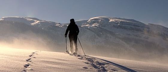 Bild enthält, Person, Walking, Nature, Outdoors, Photography, Piste, Snow, Peak, Skiing