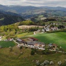 Mostwirtshaus - BioBauernhof Putz`n - Riebenbauer-Logo