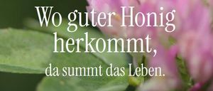 Ein Nahaufnahme einer Biene auf einer rosa Blume mit dem Text 'Wo guter Honig kommt, da summt das Leben' auf Deutsch.