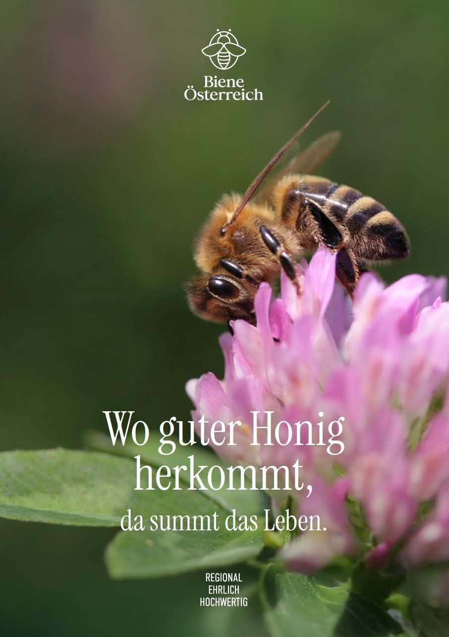 Eine Biene sitzt auf einer rosa Blume mit dem Text 'Wo guter Honig herkommt, da summt das Leben.' Das Bild ist klar und lebendig und zeigt die Schönheit der Natur.