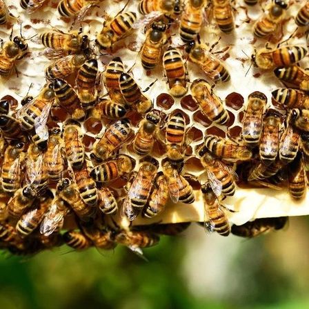 v1_migrated_image_73080504