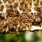 v1_migrated_image_73080504