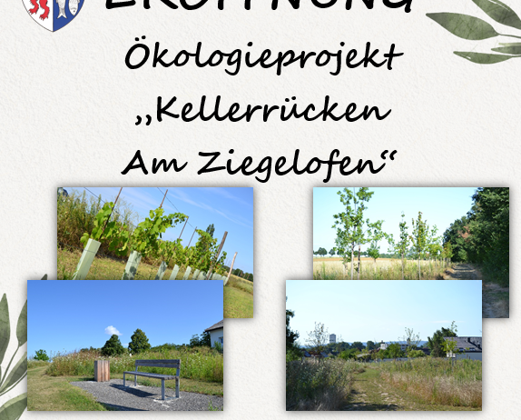 v1_migrated_image_35271291
