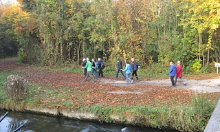 Eine Gruppe von Menschen geht auf einem Pfad mit Bäumen und Blättern auf dem Boden in der Nähe eines Flusses.