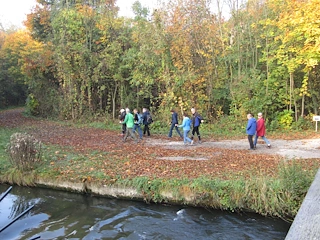 Eine Gruppe von Menschen geht auf einem Pfad mit Bäumen und Blättern auf dem Boden in der Nähe eines Flusses.