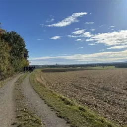 Eine Gruppe von Menschen läuft auf einem Feldweg, der von Grün umgeben ist und führt in ein großes, kahles Feld unter einem blauen Himmel mit verstreuten Wolken.