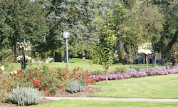 Ein Garten voller verschiedener bunter Blumen und Pflanzen, ein Weg, Bäume und ein Laternenpfosten an der Seite.