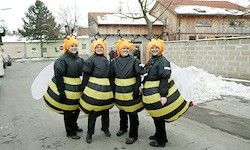 Vier Personen in Bienenkostümen stehen auf der Straße. Sie posieren für ein Foto vor einem Gebäude und einer Mauer. Schnee liegt auf dem Boden.