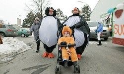Drei Menschen in Pinguinkostümen gehen mit einem Kind in einem Löwenkostüm in einem Kinderwagen die verschneite Straße entlang. Autos und ein Gebäude sind im Hintergrund.