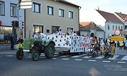 Ein grüner Traktor zieht eine Plattform mit Menschen in Kuhkostümen. Sie befinden sich in einem Umzug auf einer Stadtstraße, mit Gebäuden und Fußgängern im Hintergrund.