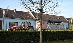 Ein roter Traktor steht vor einem Haus mit braunem Dach. Das Haus hat mehrere Fenster. Vor dem Haus steht ein Strauch und ein Baum.
