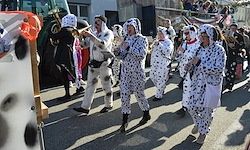 Eine Gruppe von Menschen in Dalmatinerkostümen zieht mit Musikinstrumenten spielend die Straße entlang, während eine Menge Zuschauer zusieht.