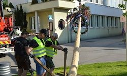 Drei Männer in Warnwesten arbeiten an einem Baum vor einem Gebäude. Ein roter Kran steht hinter ihnen.