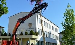 Ein großer roter Kran entfernt einen Baum vom Dach eines weißen Gebäudes mit mehreren Fenstern.
