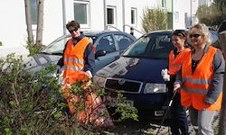 Vier Personen in orange Sicherheitswesten reinigen um einen Busch. Dahinter sind Autos und ein weißes Gebäude geparkt. Sie halten Müllsäcke und Stöcke in den Händen.