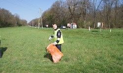 Ein Mann in einer gelben Weste sammelt Müll auf einem Grasfeld mit Bäumen und einer Straße im Hintergrund.