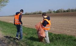 Zwei Personen in Warnwesten sammeln Müll am Straßenrand. Dahinter befindet sich ein Feld.