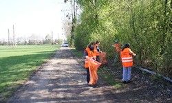 Freiwillige in orange Warnwesten sammeln Müll entlang einer ländlichen Straße mit Grün und geparkten Autos im Hintergrund.